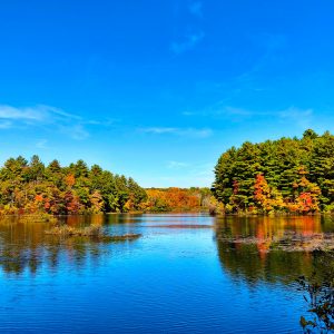Balsam Lake